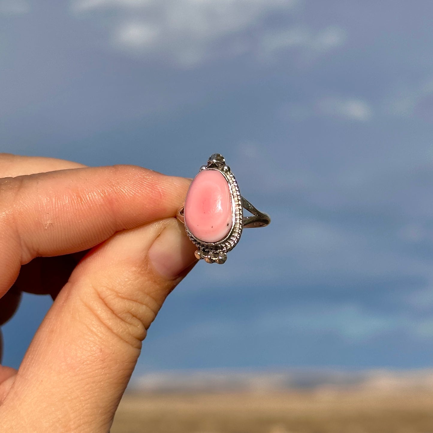 E6. Size 7 Pink Conch Shell