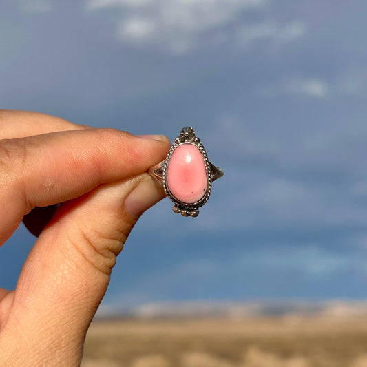 E6. Size 7 Pink Conch Shell