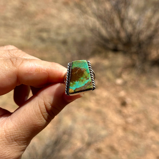 C4 Size 8.5 Turquoise